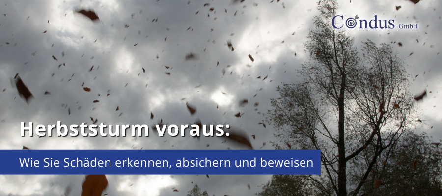 Herbststurm voraus: Wie Sie Schäden erkennen, absichern und beweisen