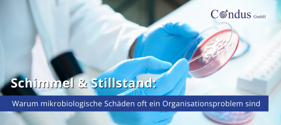 Schimmel & Stillstand: Warum mikrobiologische Schäden oft ein Organisationsproblem sind
