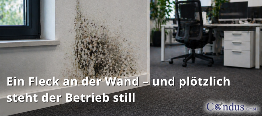 Schimmel & Betriebsstillstand – wenn mikrobiologische Schäden zum Risiko werden