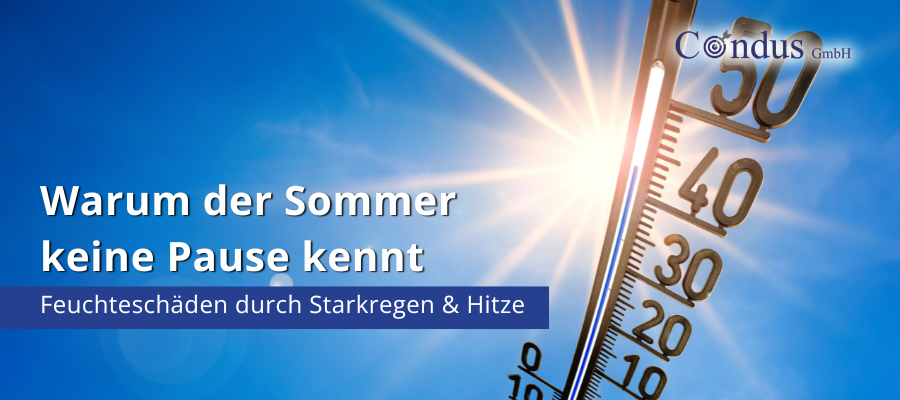 Warum der Sommer keine Pause kennt – Feuchteschäden durch Starkregen & Hitze