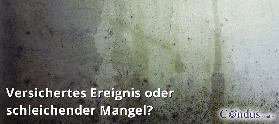 Versichertes Ereignis oder schleichender Mangel? Warum die Ursachenanalyse bei Schimmelschäden entscheidend ist