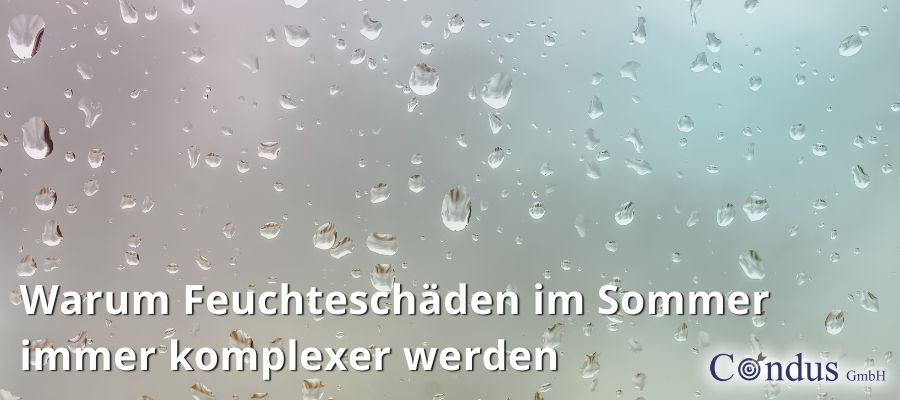 Warum Feuchteschäden im Sommer immer komplexer werden